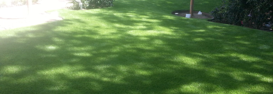 Cover photo