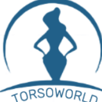torso