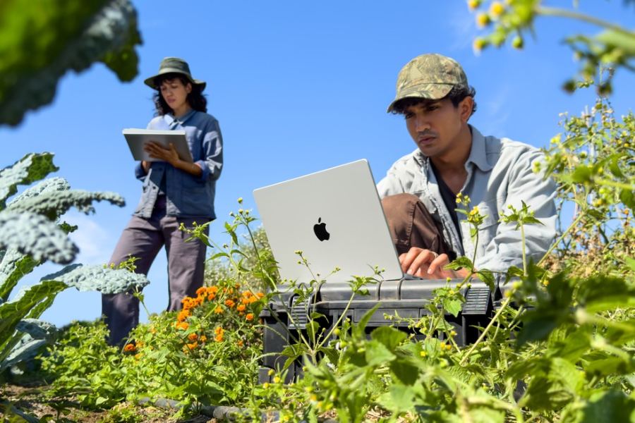 Fieldwork and mobile creative sessions benefit when inference does not depend on constant connectivity.