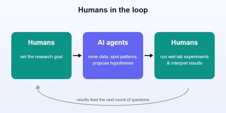 Humans set the goal, AI agents mine data and propose hypotheses, humans run wet-lab experiments and interpret results